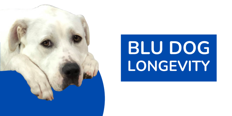 BLU Dog Longetivity